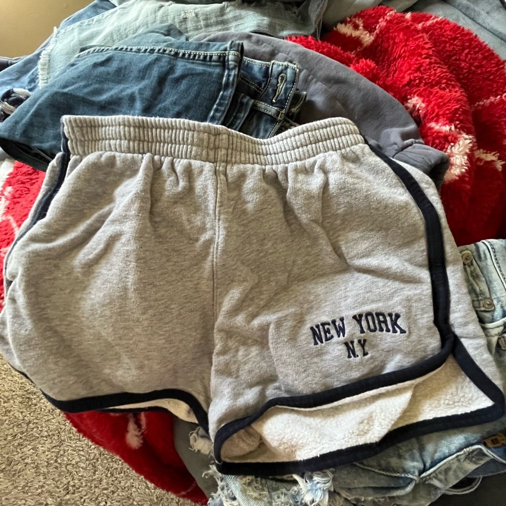 John Galt Brandy Melville New York shorts